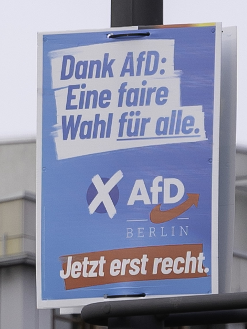 Themenplakat Dank AfD: Eine faire Wahl für alle.