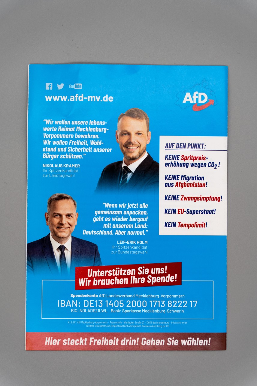 Flyer 35 Plus-Punkte warum Sie die AfD wählen sollten!