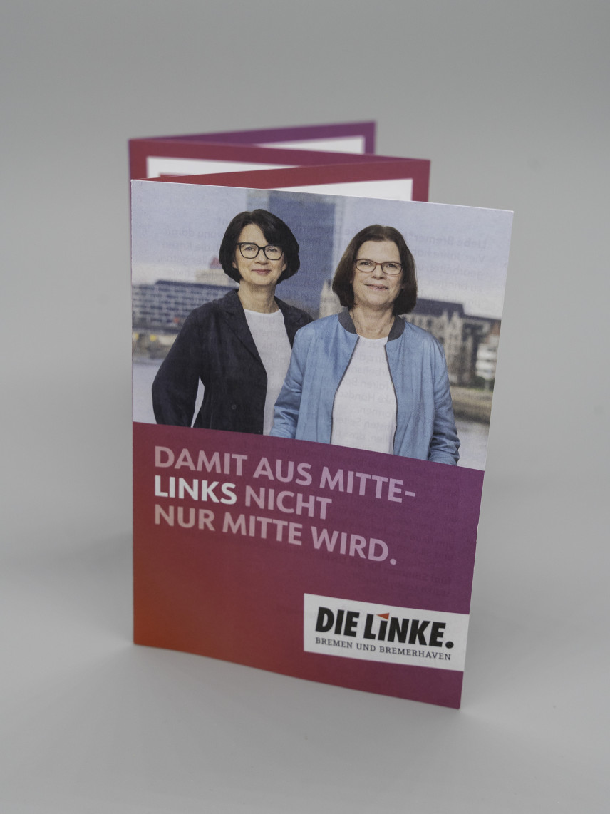 Flyer Damit aus Mitte-Links nicht nur Mitte wird.