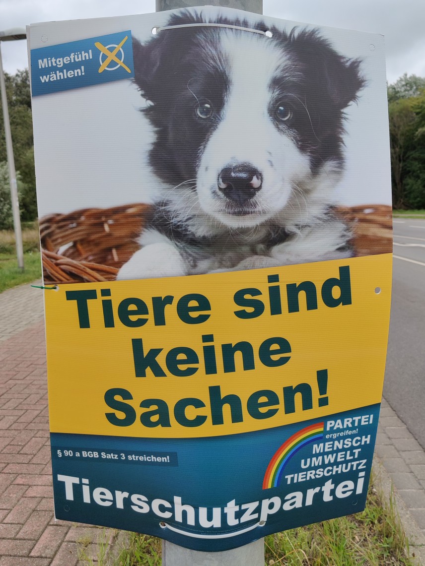 Themenplakat Tiere sind keine Sachen!