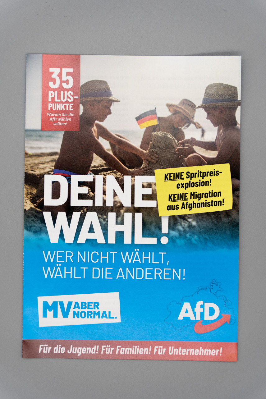 Flyer 35 Plus-Punkte warum Sie die AfD wählen sollten!