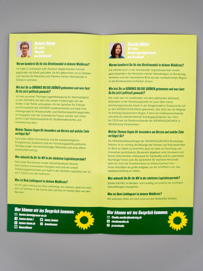 Flyer Damm in den Landtag. Müller in den Bundestag.